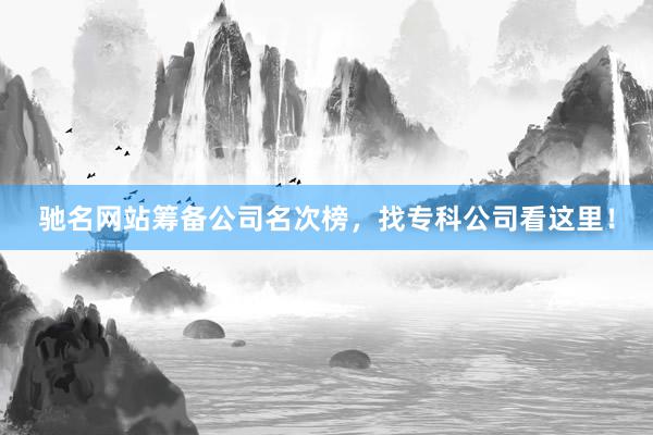 驰名网站筹备公司名次榜，找专科公司看这里！