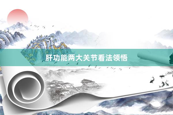 肝功能两大关节看法领悟