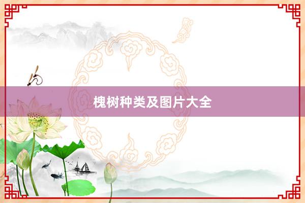 槐树种类及图片大全