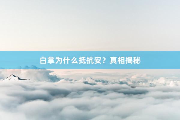 白掌为什么抵抗安？真相揭秘