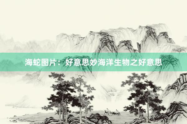 海蛇图片：好意思妙海洋生物之好意思